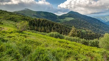 Суд повернув у державну власність земельну ділянку в “Королівських Бескидах”