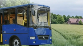 Депутата з Львівщини оштрафували за незадекларовані автобуси, будинок та землю