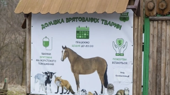 Львів’ян закликають долучитися до "Весняного Базару Добра"