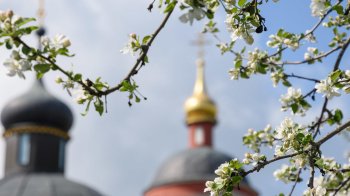 Симонів день: історія, традиції та прикмети дня