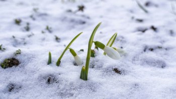 Погода у Львові 26 лютого: чи чекати весняного потепління