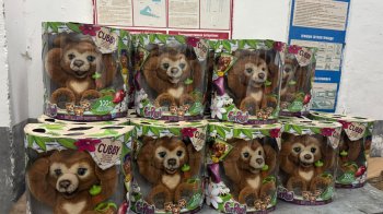 Львівські митники виявили партію Furreal Cubby на 160 тисяч гривень