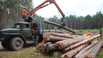 СБУ затримала керівника одного з лісгоспів Львівщини
