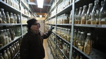 російські окупанти знищили повністю єдиний в Україні генетичний банк рослин