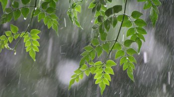 На Львівщині штормове попередження: прогнозують грози та шквали