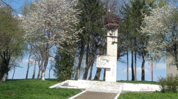 На Львівщині перенесли демонтаж  радянського пам'ятника на осінь: турбуються про лелеку