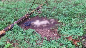 Знайдений у Карпатах скелет належить 29-річному львівʼянину