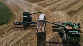 Збирання зерна