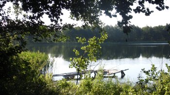 Подвійне вбивство: на Львівщині знайшли застреленими власників озер