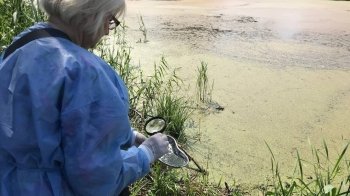 У Львові обробляють водойми від малярійних комарів