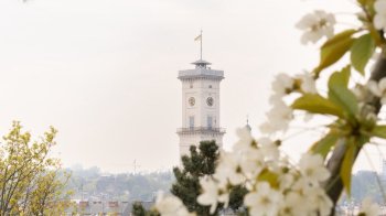 Як Львів святкуватиме 770-річчя: програма заходів на День міста