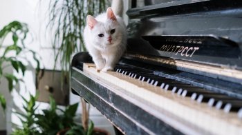 29 березня: церковні свята, іменинники, прикмети та заборони