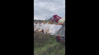 "Це просто неймовірно!": у мережі показали, як в лісах Славського гриби вивозять на ковші трактора (відео)