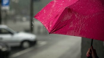 Грози, туман та сильний вітер: погода у Львові 5 липня