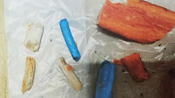 На Львівщині чоловік сховав наркотики у моркві, щоб переслати в колонію