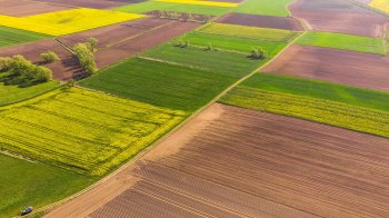 На Золочівщині суд конфіскував землі у громадянки Росії