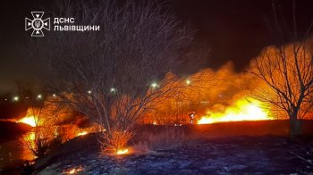 На Львівщині за добу рятувальникам довелось гасити майже сто пожеж сухої трави