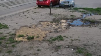 У Львові в одному з дворів з-під землі тече вода (фото)