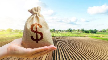 Львівщина на другому місці в Україні за вартістю землі