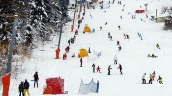 «Буковиця»