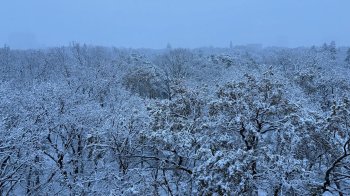 На Львівщині 24 листопада синоптики прогнозують мокрий сніг та ожеледицю