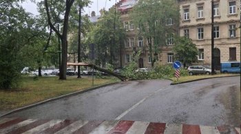 Рух тролейбусів у Львові 14 липня: зміни через падіння дерева