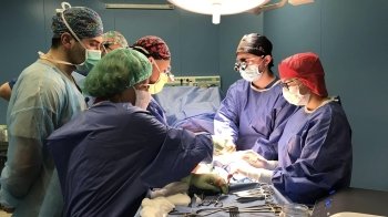 Фото: Перше медичне об'єднання Львова