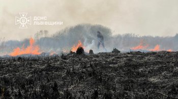 На Львівщині почастішали пожежі сухостою.