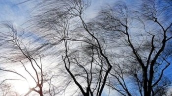 Пориви вітру та місцями грози: якою буде погода у Львові та області 14 липня