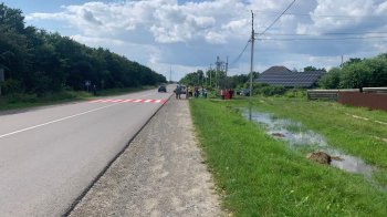 На Львівщині 11-річну дівчинку на пішохідному переході збило авто