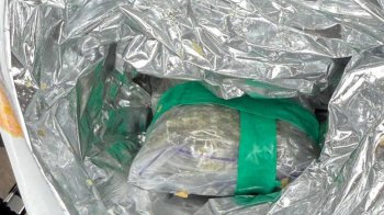 У Львові затримали двох торговців канабісом