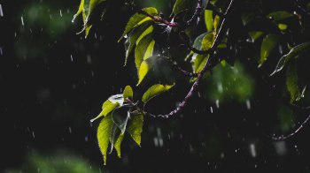 У Львові та області на 11 липня прогнозують дощі, грози та град