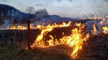 Понад 2 гектари сухої трави згоріло за добу на Львівщині