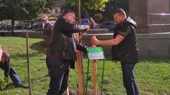 Завдяки висадці іменних дерев у Львові волонтери зібрали понад мільйон гривень на дрони для 24 бригади