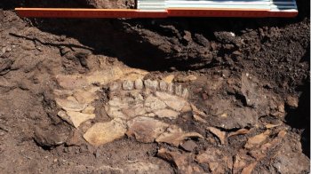 Історичний поворот на чверть мільйона років назад: дослідники знайшли унікальні археологічні пам’ятки