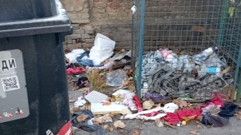 «Щури, голуби, безхатьки»: львів’яни скаржаться на антисанітарію на смітниках