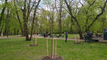 У парках Львова висадили дерева подаровані містянами