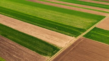 Львівський суд повернув Буській громаді понад 35 гектарів землі