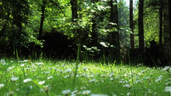 21 березня: церковні свята, іменинники, прикмети та заборони