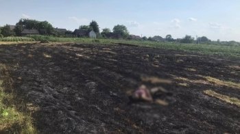 Палила сухостій: у селі неподалік Львова в пожежі загинула літня жінка