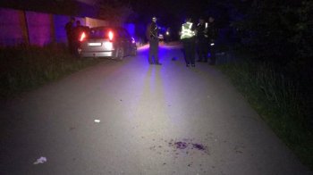 Мешканці Львівщини присудили 4 роки в’язниці за наїзд на трьох пішоходів з дитиною