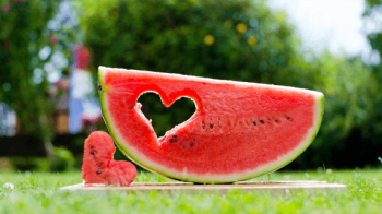 Херсонський кавун продали на аукціоні за 2 тисячі гривень (відео)