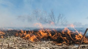 Рятувальники вчергове закликають не палити сухостій