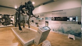 Музеї Львова, у які варто сходити з дітьми