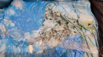 На Рівненщині підприємець постачав продукти зі свинцем для приготування їжі у пунктах незламності