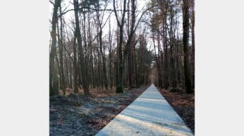 У парку в Брюховичах цього року обіцяють доробити усі доріжки