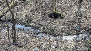 Перетворили зелену зону на незаконне сміттєзвалище: у Львові просять прибрати сміття на одній із вулиць