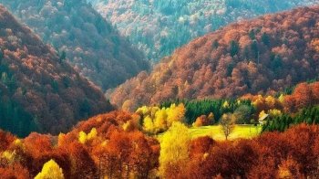 Якою буде погода на Львівщині у вівторок, 15 листопада