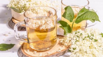 квас з квітів бузини