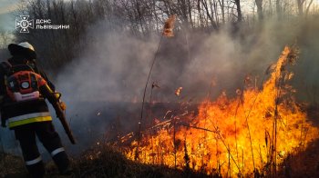 На Львівщині за одну добу згоріло понад 17 га сухої трави
